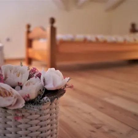 Casa Alice דירה *