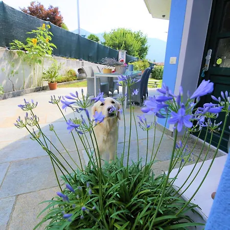 Lägenhet Casa Alice