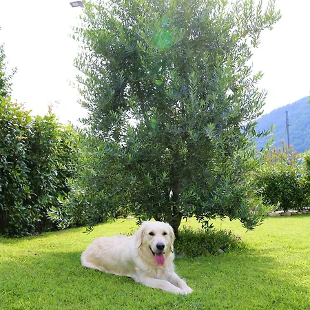 Casa Alice דירה *