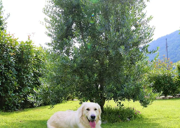 Casa Alice Appartamento *